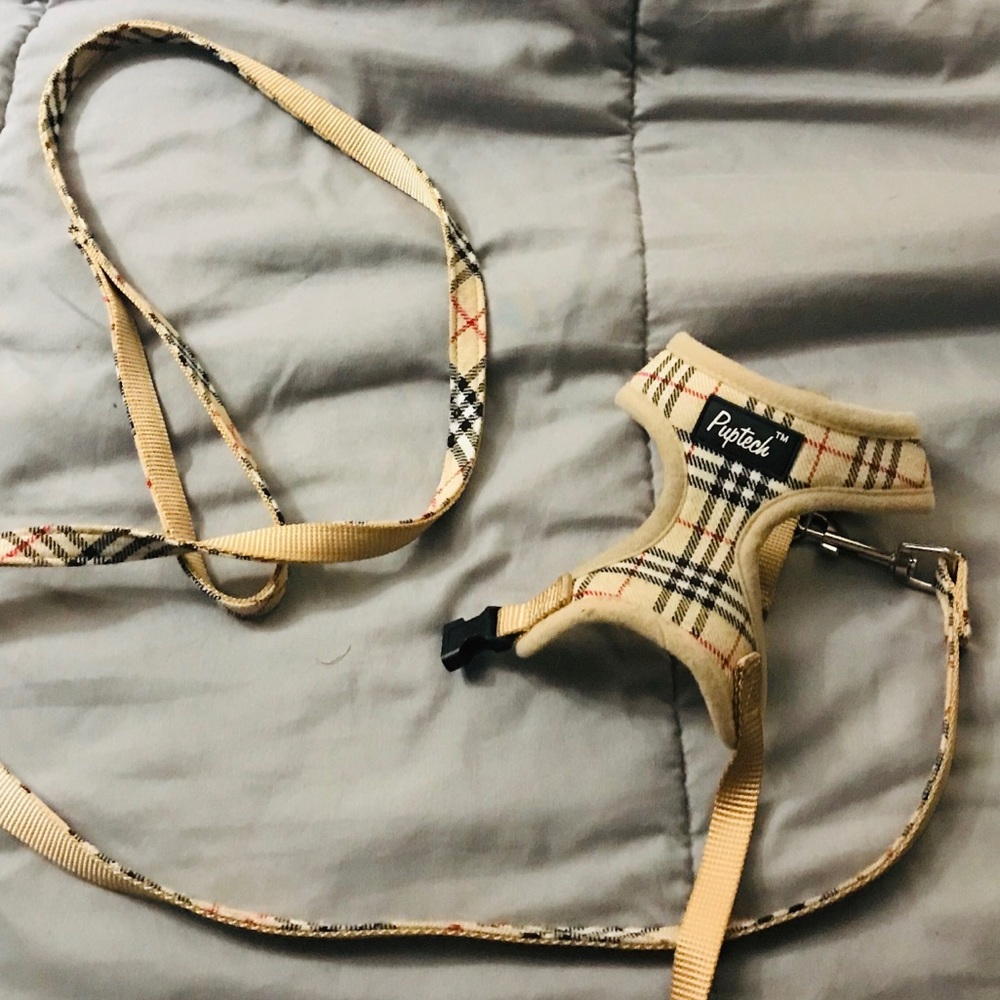 Pupteck brand Puppy harness & matching leash